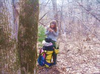 Опять клещ.